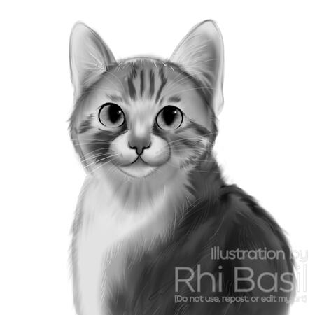 Pet Portrait 1