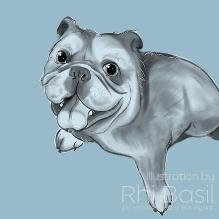 Pet Portrait 2